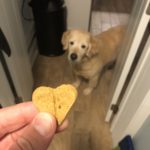 Great dog biscuit for training